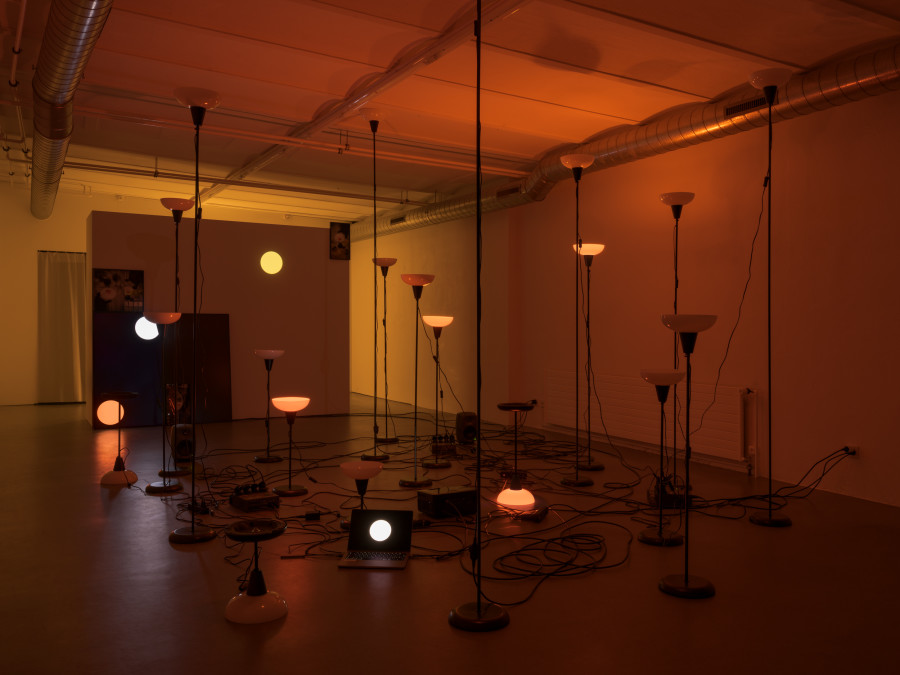 Exhibition view, Daria Blum, HOME SCREEN, 2026. Photo credits: Julian Blum