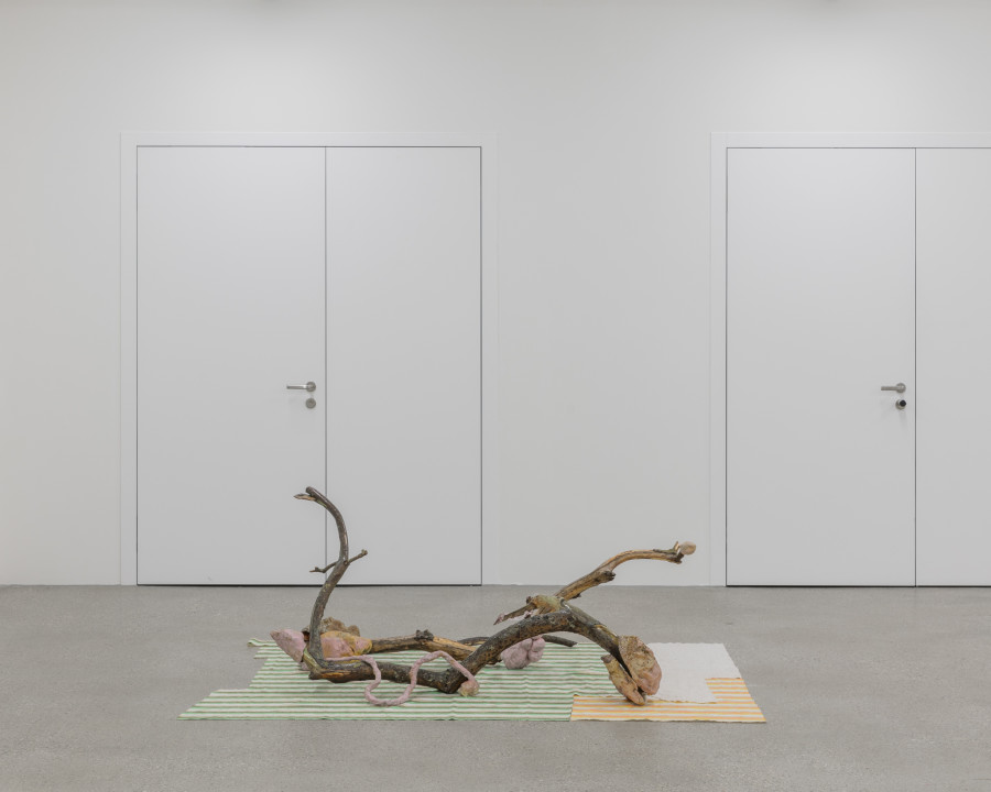 Exhibition View Yun Choi Solo Show « The Lounge »; view on Psychics B, 2023 at CALM – Centre d’Art La Meute, Lausanne, 2023 / Photo: Théo Dufloo / Courtesy the artist and CALM – Centre d’Art La Meute