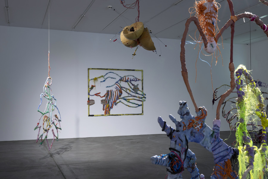Installation view ‘Julien Creuzet - Orpheus was musing upon braised words (...)’, Luma Westbau, Zurich, 2023. Photo: Nelly Rodriguez