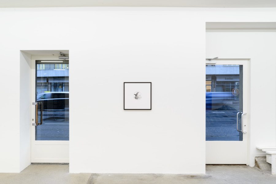 Exhibition view, Symmetrical Space Pops, Galerie Gregor Staiger, 2024. Photography/ Courtesy Galerie Gregor Staiger, Zurich.