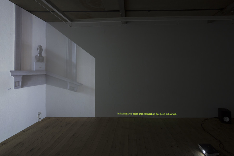 Exhibition view, Lea Schaffner – Aus dem Kopf /From the Head (By Heart), sic! Elephanthouse, 2022. Photo credit: Andri Stadler