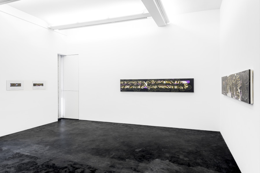 David Reed «Krefeld Miami New York», Installation view Häusler Contemporary Zürich, 2023 | photo: Peter Baracchi.