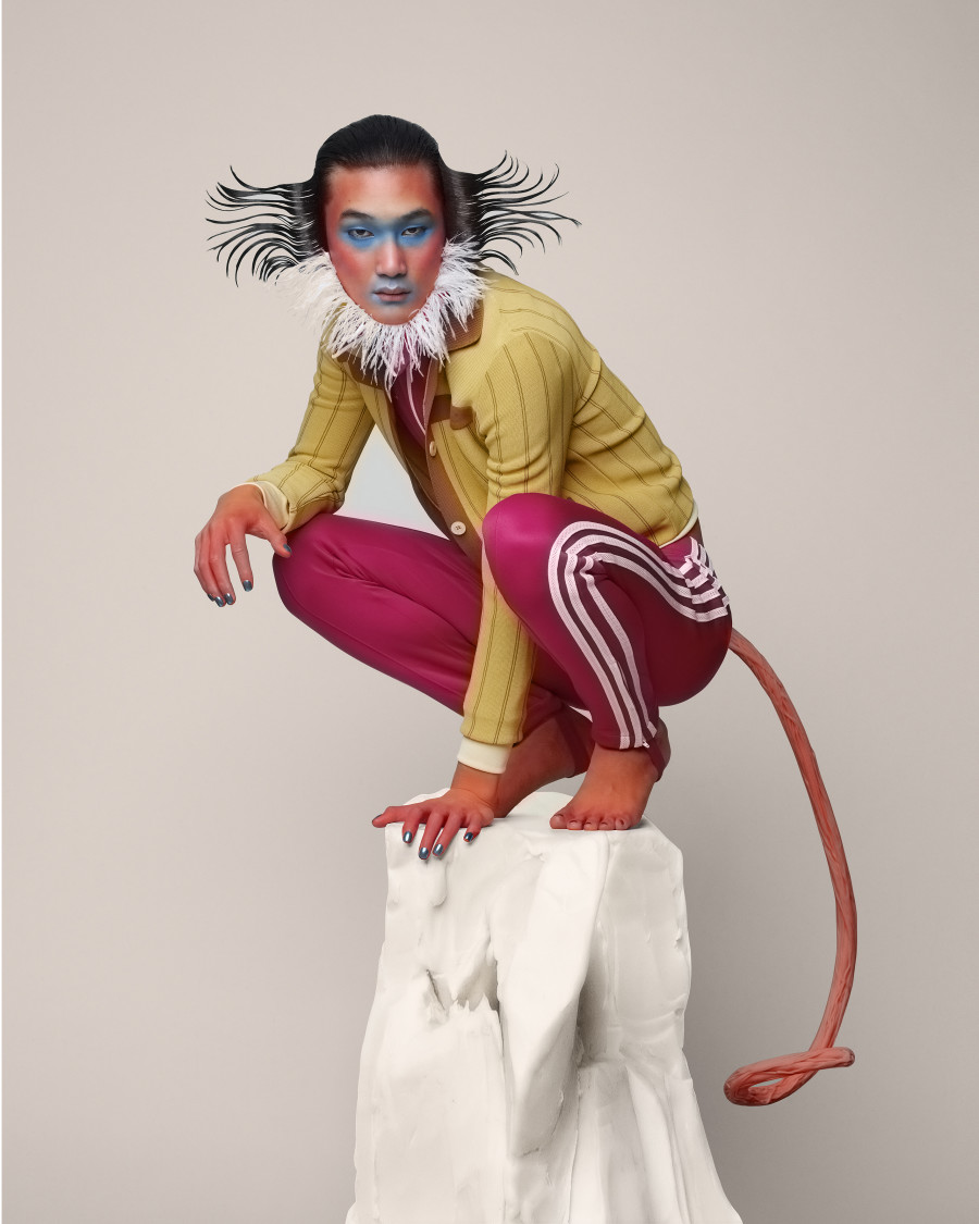 Erwan Frotin, The Monkey, Numéro China, 2021