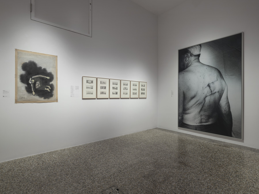 Exhibition view, Art cruel, Musée Jenisch Vevey, 2022. Photo credit: © Photo Julien Gremaud