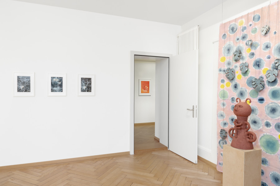 Exhibition view, Interwoven Existences, The Poetry of Nature, BELETAGE Art Space, 2025. Photo credit: Sebastian Stadler