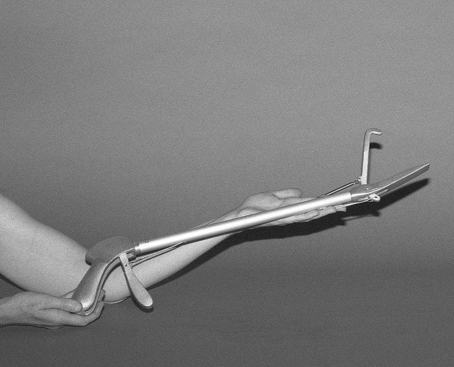 Joanna Piotrowska, Animal Grabber, 2019. Courtesy of the artist; Dawid Radziszewski, Warsaw; and Southard Reid, London
