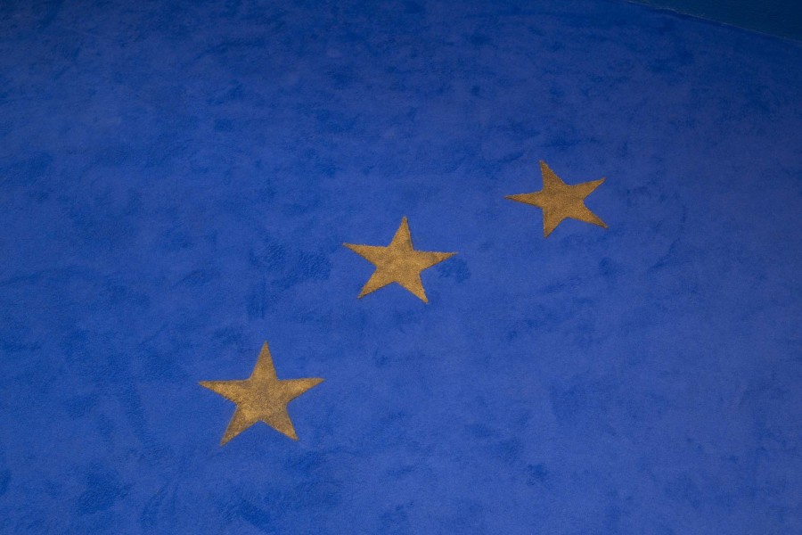 Manuela Morales, Europa, Royal Blue carpet, 320 x 560 cm, Photo: Leevi Toija