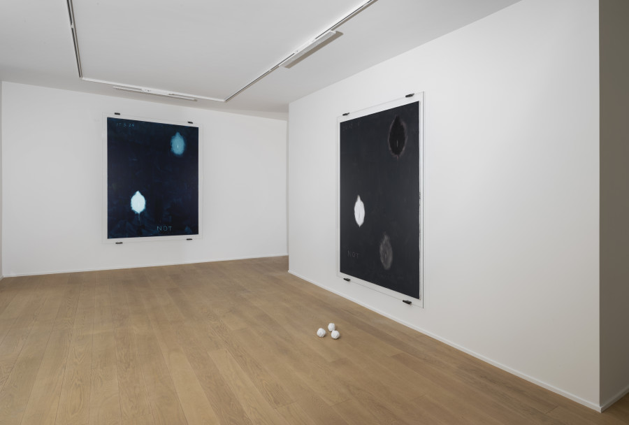 Exhibition view, Not Vital, The Self, Wilde, 2025. Photo credit: Studio Eric Bergoend. Courtesy Not Vital et Wilde