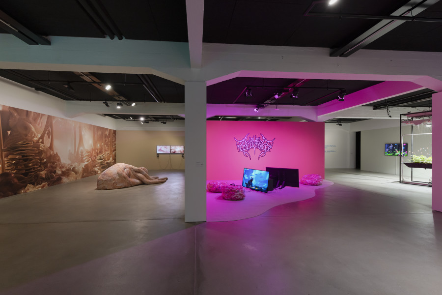 Exhibition view «Other Intelligences», 2025, HEK, photo: Franz Wamhof