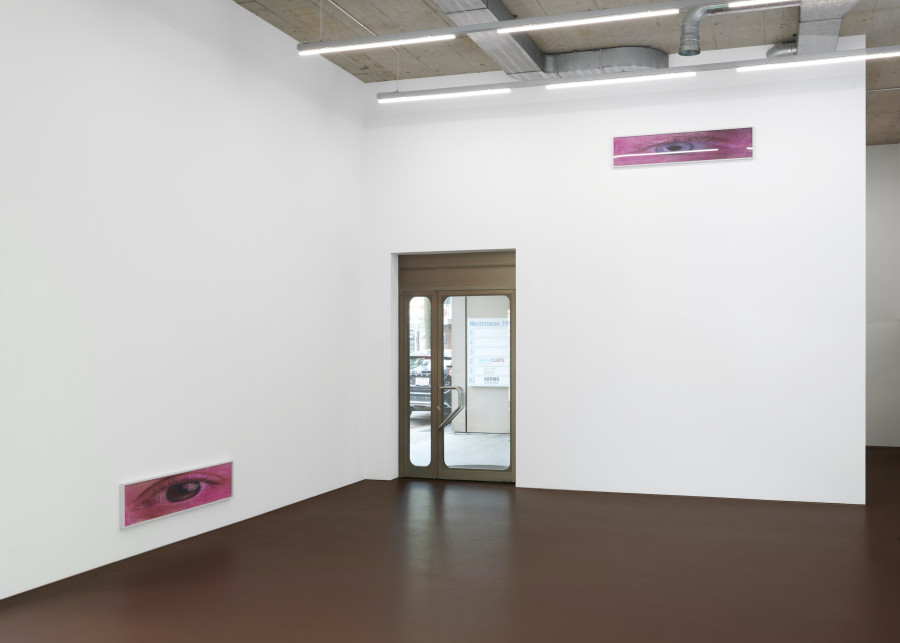 Installation view of "I Wish I Could Cry Blood". Photo credits: Marc Asekhame. Courtesy of the artist and Karma International.