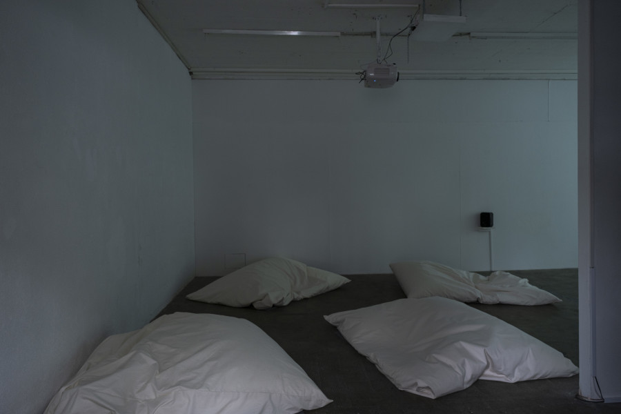 Camille Kaiser: Lucid Dreams, Installation view, 2022, Tunnel Tunnel, Photo credit: Pauline Humbert.