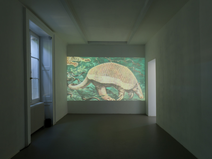 Hippolyte Hentgen, Les Italiens, vidéo, textes et voix Anne-James Chaton, 2024 et Night Sounds, dessin au graphite, vue de l’exposition « Chambre à deux lits » à la Villa du Parc - centre d’art contemporain - Aurélien Mole, 2025