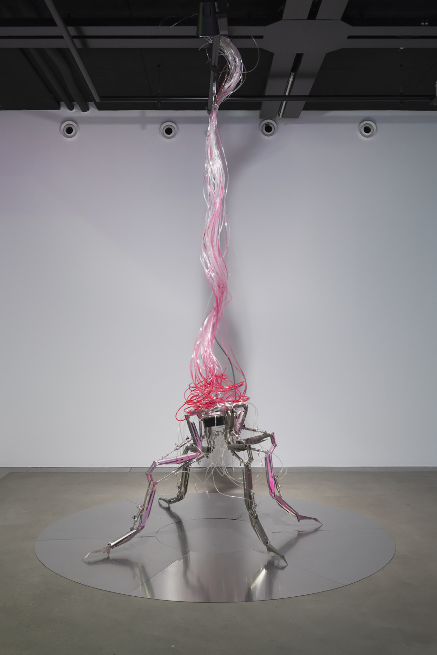 Yiming Yang, Splice, 2020, «Other Intelligences», 2025, HEK, photo: Franz Wamhof