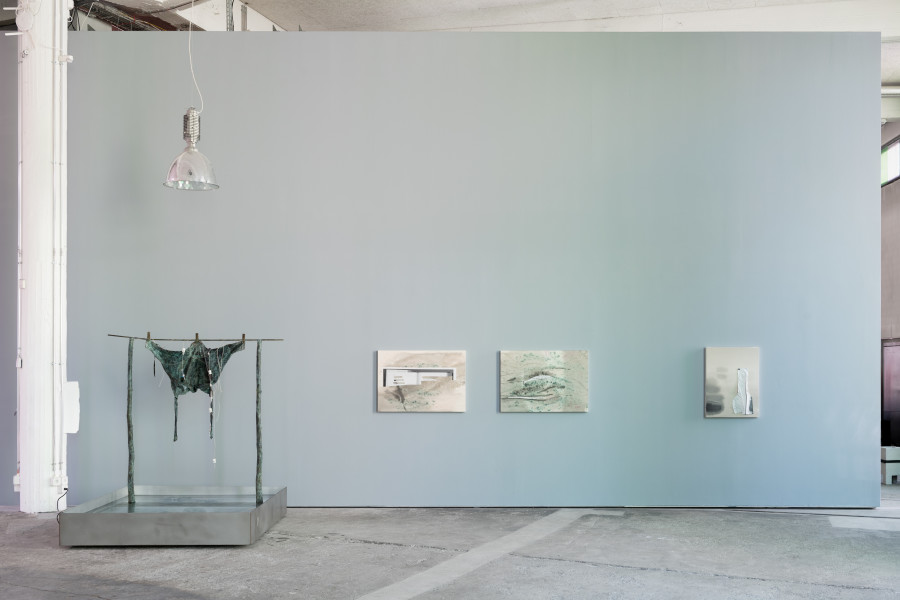Camille Henrot, Sweet Days of Discipline, installation views LOK by Kunstmuseum St.Gallen Photo: Sebastian Stadler © Camille Henrot, Adagp, Paris, 2023 Supported by Mennour, Paris and Hauser & Wirth