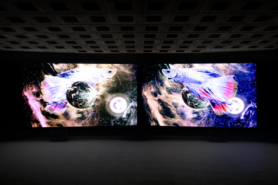 Rä di Martino, Afterall, 2019, Photo: Sebastian Stadler