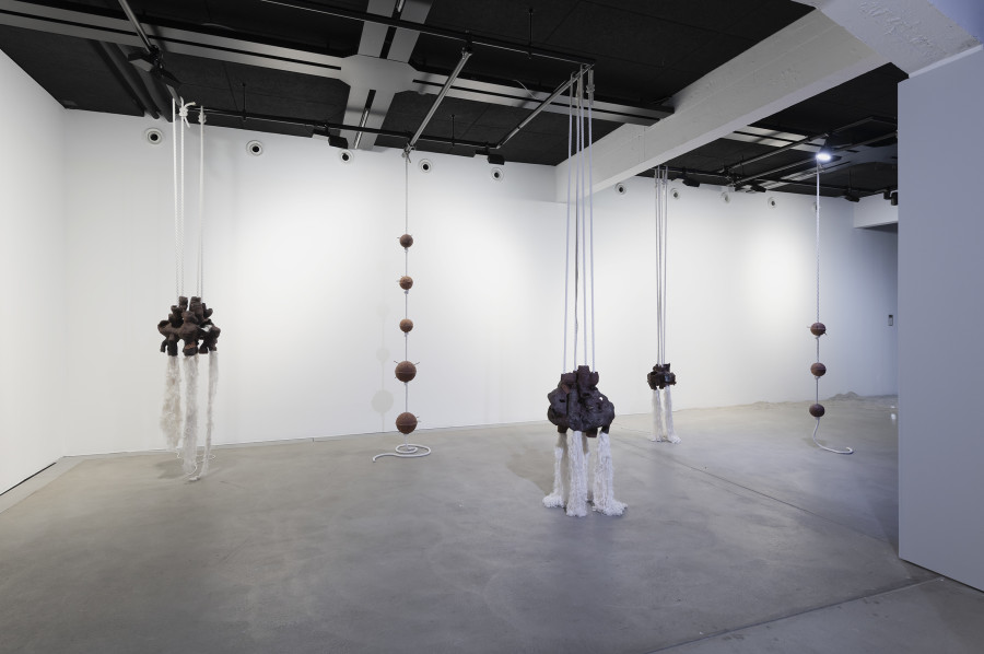 Maya Hottarek, Neokaryotes, 2023, «New Rituals [for the End of the World]», 2026, HEK, photo: Franz Wamhof