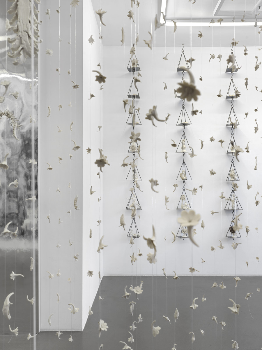 Exhibition view, Diego Cibelli, A life ahead, Galerie Mezzanin, 2026. Photo credit: Annik Wetter