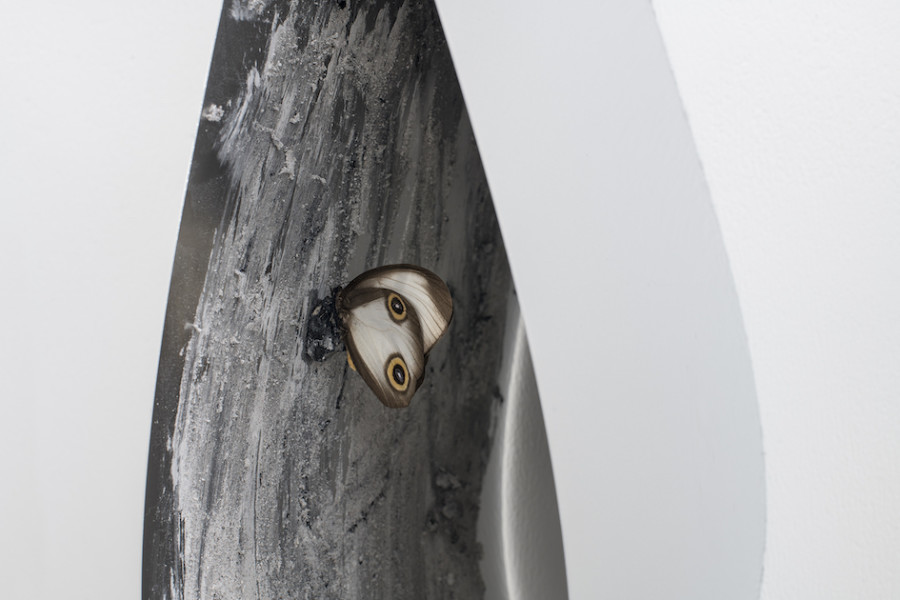 Marie Matusz - Millenial Clock (detail), 2022. 2022 courtesy the artists and suns.works. Photography: Claude Barrault