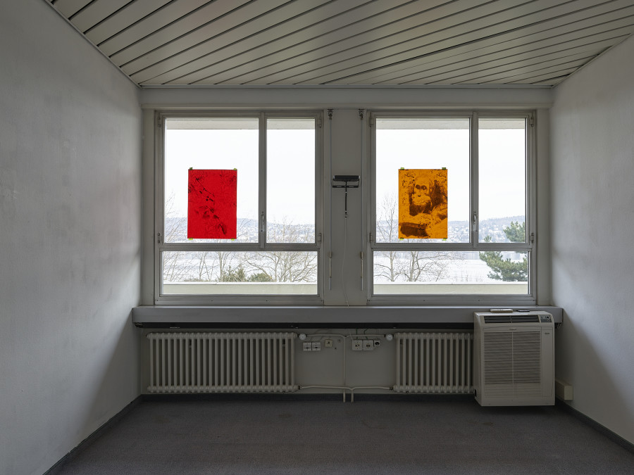 Installation view, light life memories, Nils Dunkel, flatmarkus, Kilchberg, Zürich, 2025.