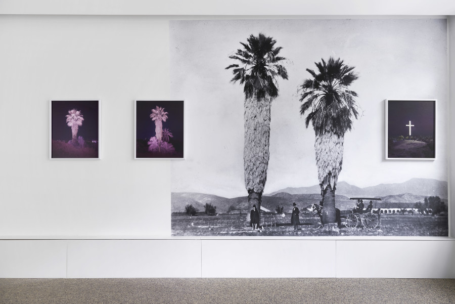 Exhibition view, Yann Gross, Greetings, Wilde, 2024. Photo credit: Philipp Hänger