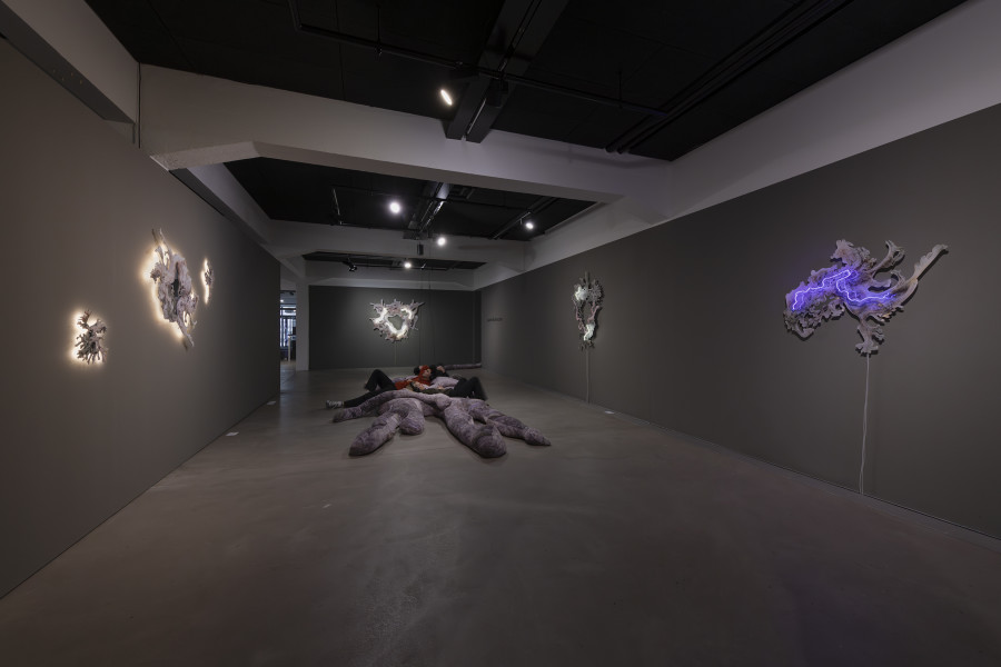 Isabell Bullerschen, exhibition view, «Lukas Truniger, Isabell Bullerschen, Rhona Mühlebach – Swiss Media Art – Pax Art Awards 2025», 2026, HEK, photo: Franz Wamhof