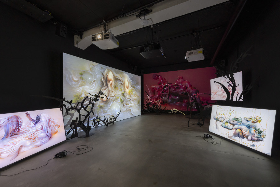 CROSSLUCID, Dwellers Between the Waters, 2023 – today, «Other Intelligences», 2025, HEK, photo: Franz Wamhof