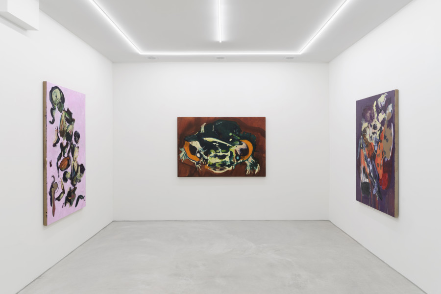 Installation view, Emma McMillan, HARUSPEX, Galerie Philippzollinger, 2024.