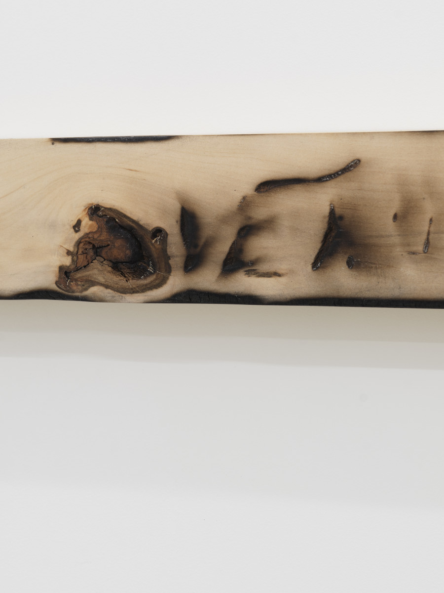 David Lindsay, Nude bruise (A lover running a long nail down your spnine), paint on linden wood, 8 x 152.5 x 7 CM | 3.25 x 60 x 2.75 IN. 2023. Galerie Philippzollinger, 2024.
