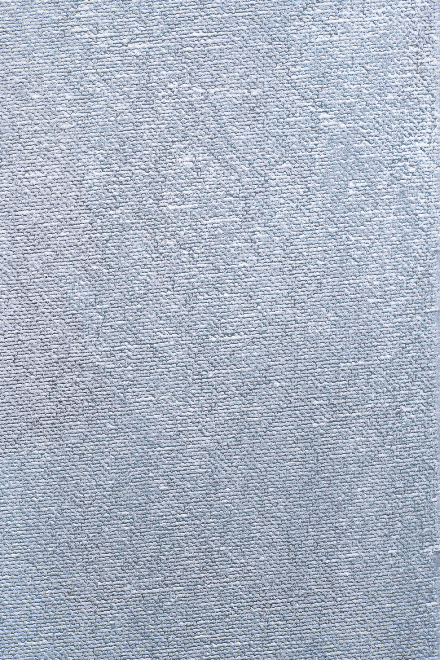 Exhibition view, Niels Hung, Curiosity Never Killed The Cat, Société des Arts de Genève, 2026.