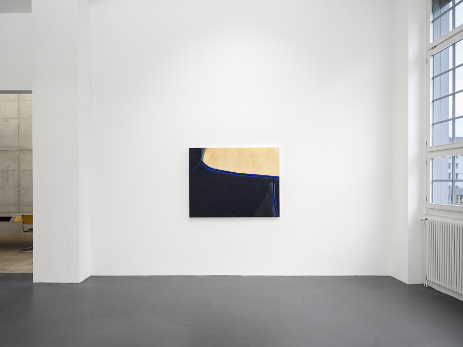 Installation view, Emil Michael Klein, Galerie Francesca Pia, Zurich, 2023-2024. Photo: Cedric Mussano