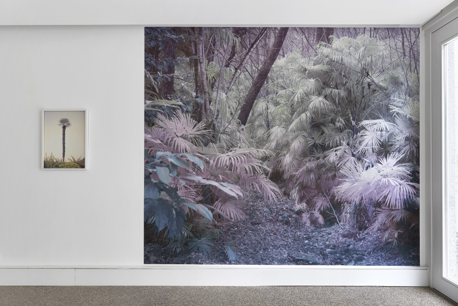 Exhibition view, Yann Gross, Greetings, Wilde, 2024. Photo credit: Philipp Hänger