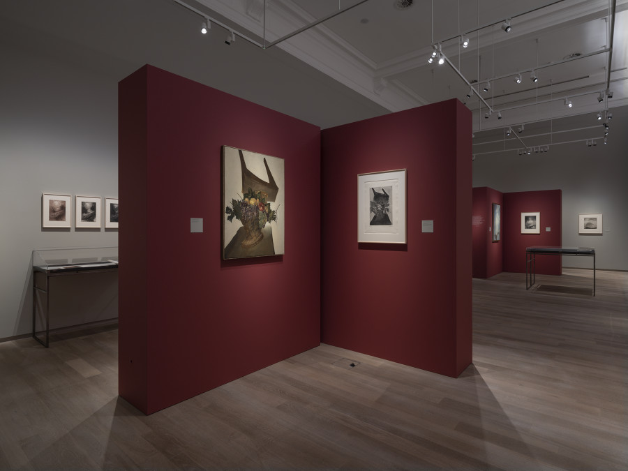 Exhibition view, Pietro Sarto, Chemins détournés, Musée Jenisch Vevey, 2022. Photo credit: © Photo Julien Gremaud