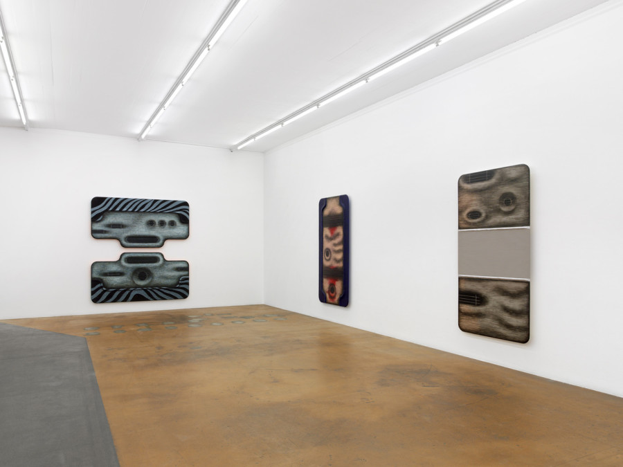 Tishan Hsu, vue d'exposition, MAMCO, 2024. Photo: Annik Wetter