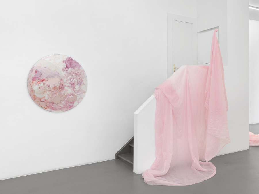Exhibition view, Karla Black, Galerie Mezzanin, 2025. Photo credit: Annik Wetter