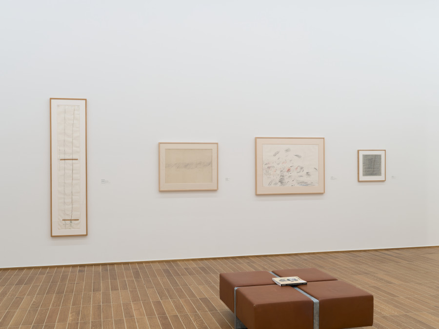 Exhibition view, Jasper Johns — The artist as collector, From Cezanne to de Kooning, Kunstmuseum Basel, 2023. Photo credit: Max Ehrengruber