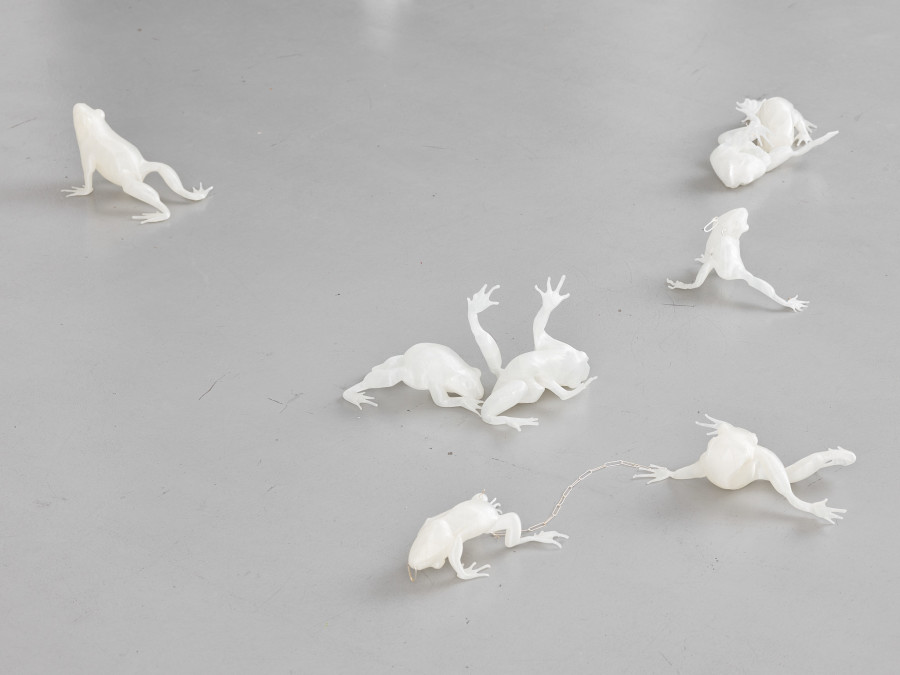 View of the exhibition Caroline Schattling Villeval, Carences et toute-puissance, CEC, 2024 Exhibition from January 19 to March 1, 2024. Courtesy Centre d’édition contemporaine, Geneva. Photo : © Sandra Pointet