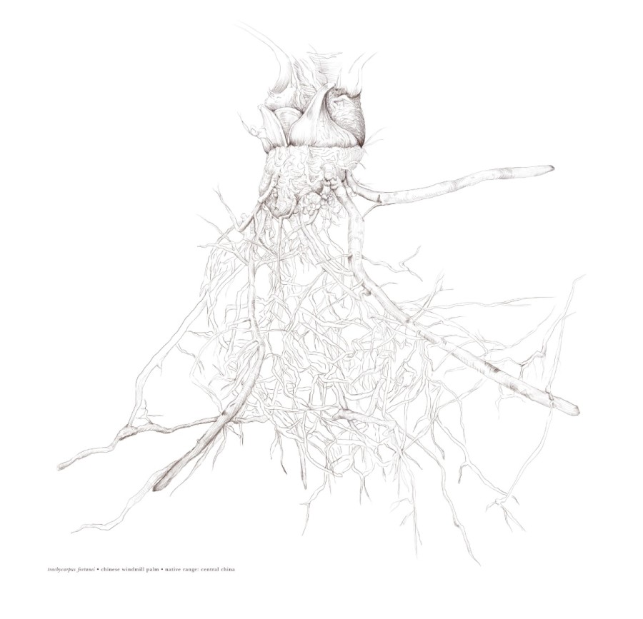 Alisha Dutt Islam, Interwoven Existences, The Poetry of Nature, BELETAGE Art Space, 2025. Courtesy The Artist