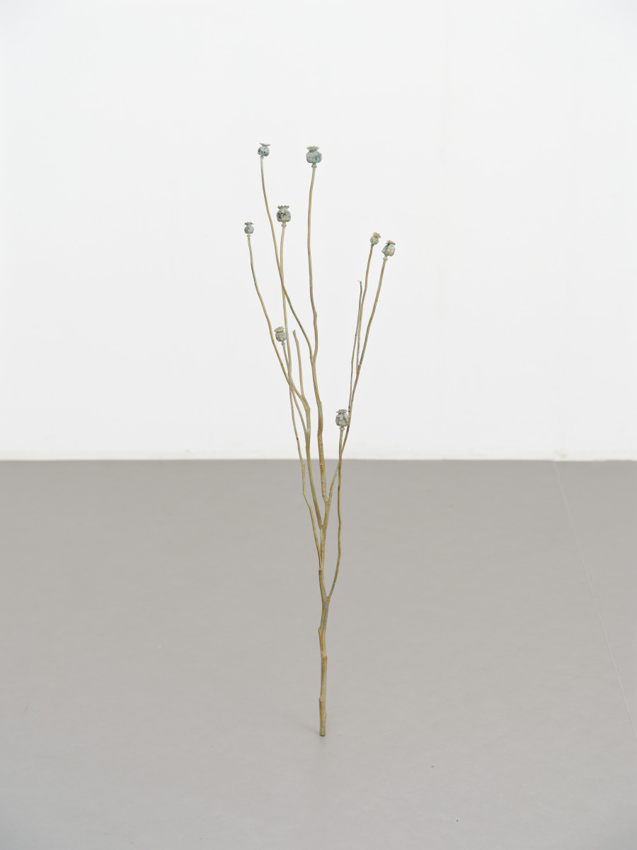 Exhibition view, Jan Kopp, Sous le silence, Villa du Parc, 2025. Photo credit: Aurélien Mole