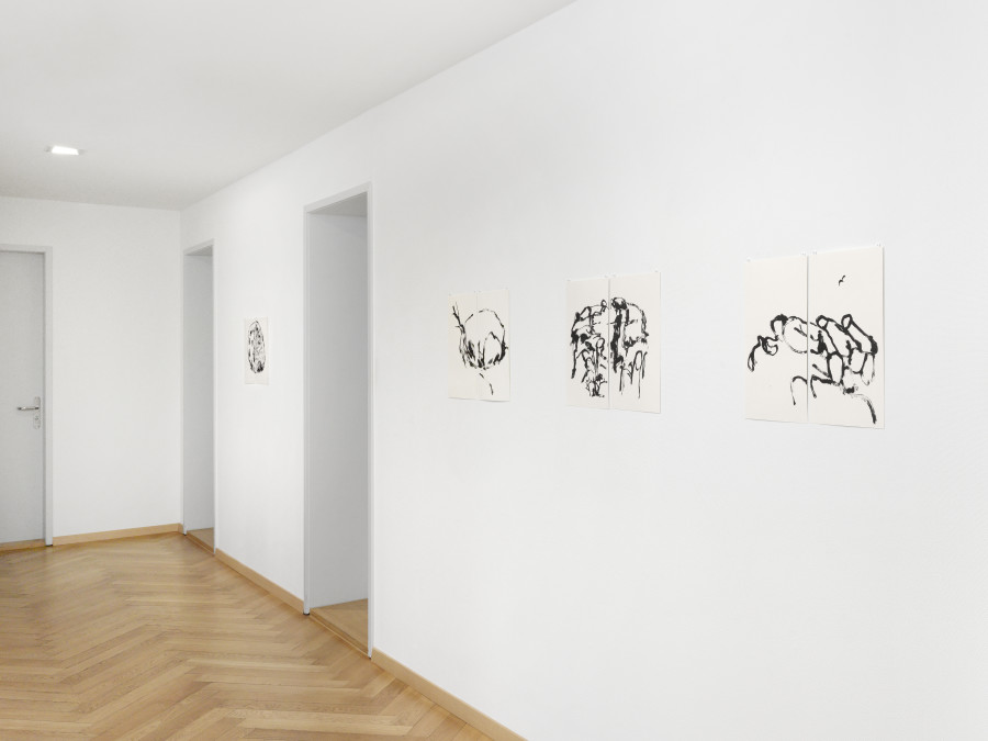 Michael Günzburger: Hidden Valley, Exhibition view, 2023, BELETAGE Art Space, Photo: Annik Wetter.