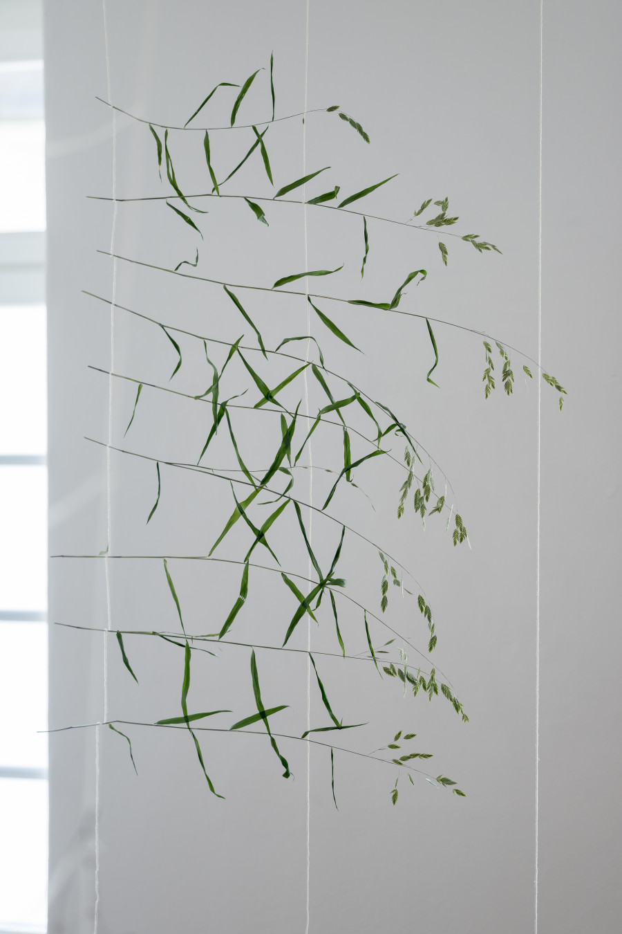 Julia Steiner, «Partitur der Natur», 2023. Ortsspezifische Installation. Baumwollgarn, Pflanzenteile, Flusssteine. Foto: Ullmann.Photography