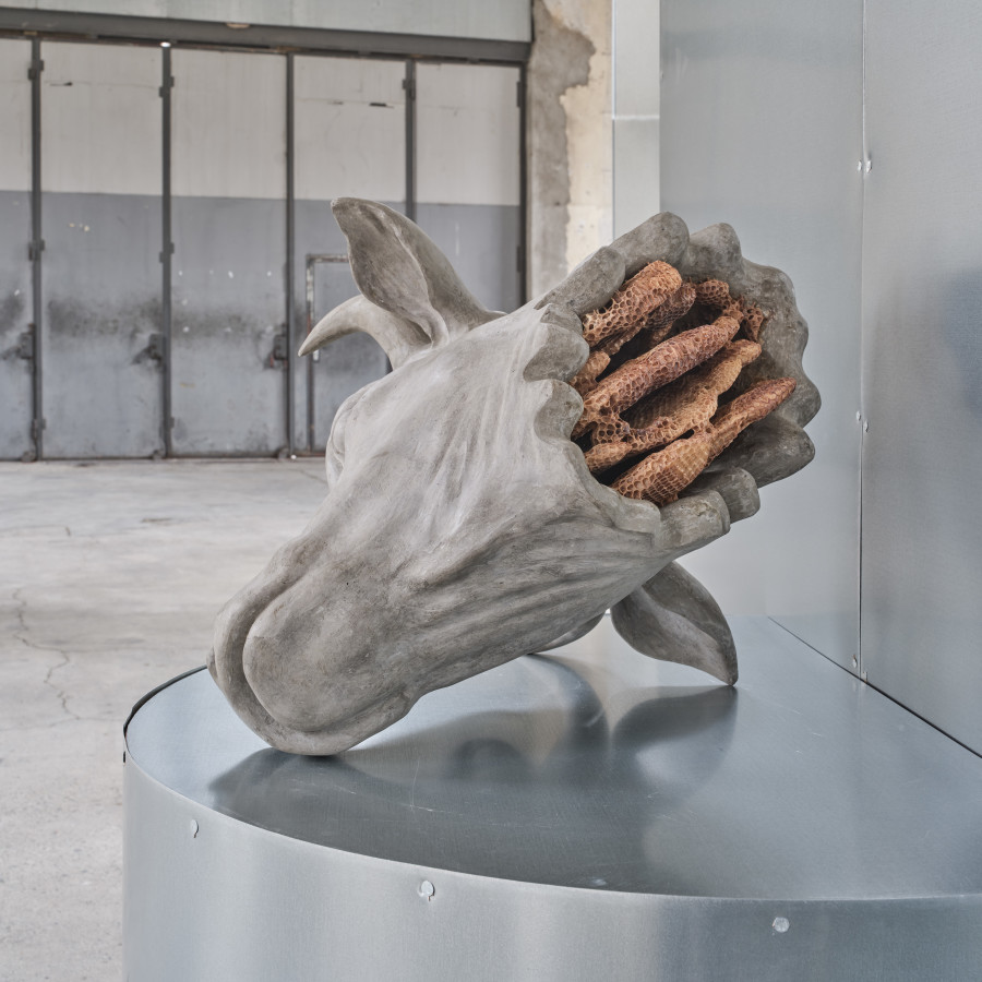Anna Hulačová, 'To Eternity', installation view 'Bucolica', Kunstraum Dornbirn, 2025, Private Collection Prague, Photo Günter Richard Wett, © Anna Hulačová, courtesy of the artist and hunt kastner, Prague.