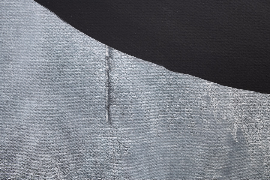 Exhibition view, Niels Hung, Curiosity Never Killed The Cat, Société des Arts de Genève, 2026.