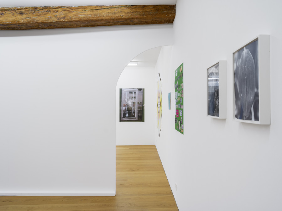 Constellations in a Bubble, Installation View, 2021 / Photo: CE / Courtesy: the Artist and Kirchgasse Gallery
