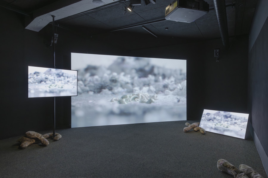 Isabell Bullerschen, Threshold, threshold (Gelatinous interfaces), 2026 «Lukas Truniger, Isabell Bullerschen, Rhona Mühlebach – Swiss Media Art – Pax Art Awards 2025», 2026, HEK, photo: Franz Wamhof