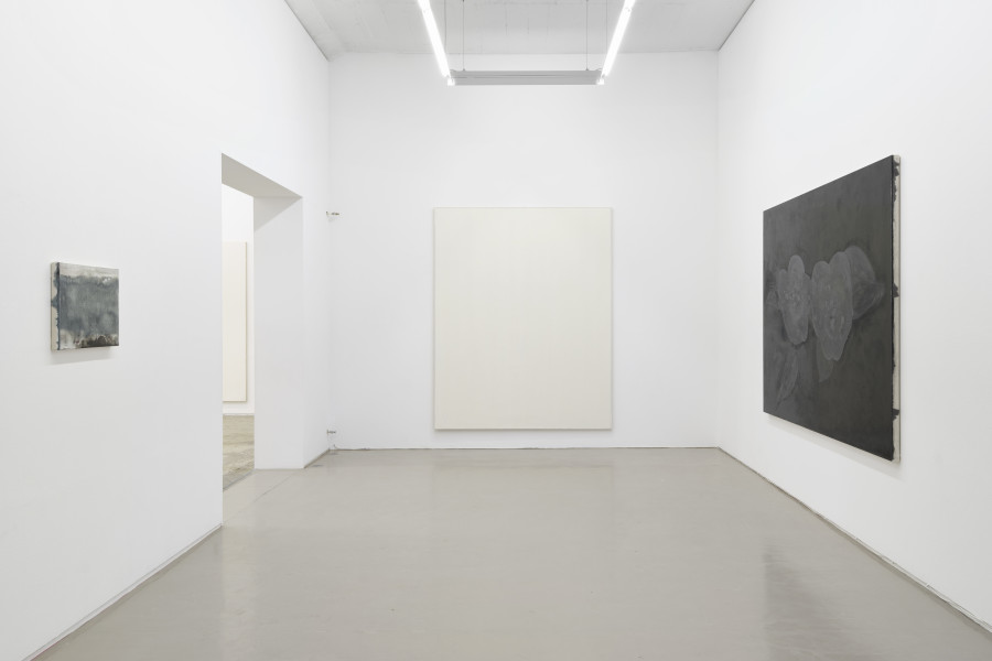 Exhibition view, Günther Wizemann, Oil Colour for Artists, Galerie Mark Müller, 2024. Copyrigh: the photographer Conradin Frei, the artist Günther Wizemann and the gallery.