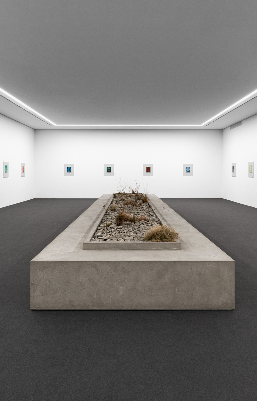 Camillo Paravicini,
Installationsansicht mit "Bank", 2021 (vorne Mitte)