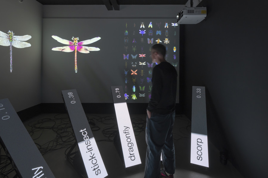 Dotdotdot, Data Bugs – AI is a mirror, 2024, «Other Intelligences», 2025, HEK, photo: Franz Wamhof