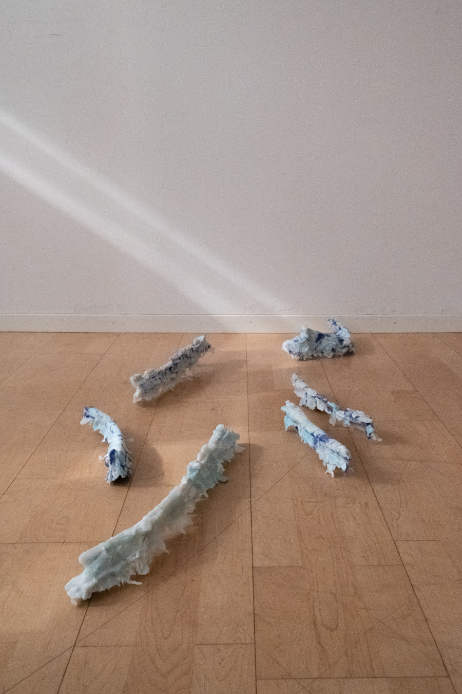 Exhibition view, Félix, Riverside Moonwalk, Visarte Zürich, 2024.