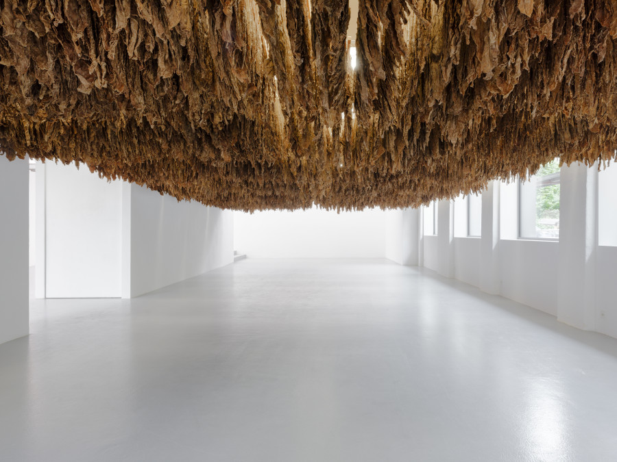 Ximena Garrido-Lecca, Reverse Engineering, Installation view, 2023, CAN Centre d’Art Neuchâtel.
Photo credit: Sebastian Verdon