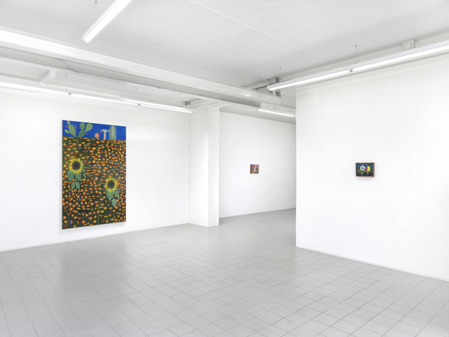 Michael Hilsman: Landscapes With Flowers, 2023, Courtesy : the artist and Sébastien Bertrand, Geneva, exhibition views : Annik Wetter